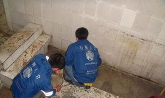 番禺區廠房屋面防水補漏，專業公司是保障生產的明智選擇